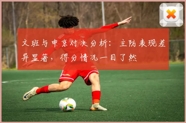 文班与申京对决分析：主防表现差异显著，得分情况一目了然